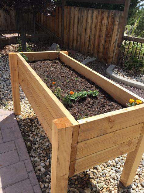 Raised Garden Bed From Pallets, Garden Bed From Pallets, Pallet Garden Bed, Diy Pallet Garden, Raised Garden Beds Diy Vegetables, Garden Boxes Diy, Pallets Diy, Building A Raised Garden, Garden Planter Boxes