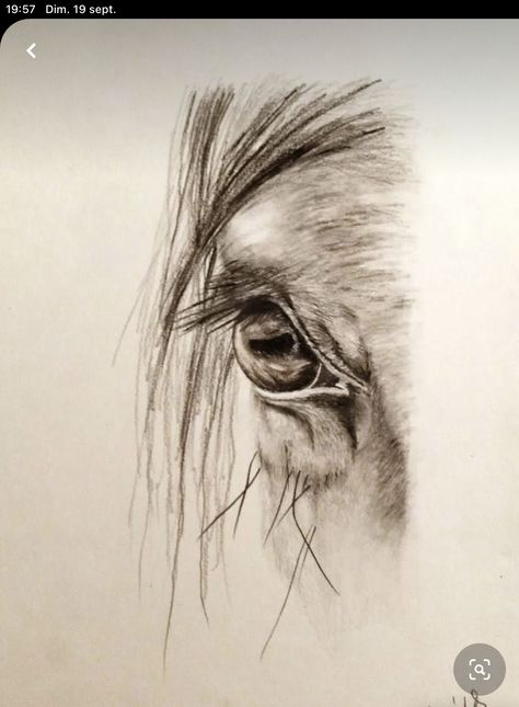 Ink Horse Drawing, Horse Eye Sketch, Wild Horses Drawing, Horse Eyes Drawing, Horse Eye Tattoo, Horse Hoof Drawing, Mustang Horse Drawing, Horse Designs Art, Drawing Horses Sketches