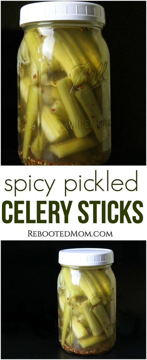 Spicy Pickle, Pickled Celery, Pickled Vegetables Recipe, Celery Recipes, Celery Sticks, Pickled Veggies, Pickling Recipes, 140 Pounds, Fermented Foods