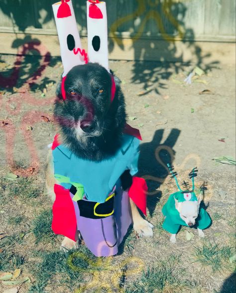 Diy Dog Halloween Costumes, Dog Costume Halloween, Spongebob Costume, Diy Dog Costumes, Couple Costumes, Pet Halloween Costumes, Dog Halloween Costumes, Diy Dog, Dog Costumes