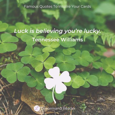 Clover Quote, Purple Clover, Lenormand Cards, Clover 3, Tennessee Williams, The Wisdom, The Deck, Clover Leaf, Wallpaper Iphone Cute