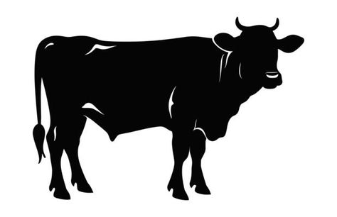 Hereford Cattle Silhouette isolated on a white background 42885605 Vector Art at Vecteezy Cattle Silhouette, Cow Silhouette, Hereford Cattle, Hereford, Creative Mind, Vector Art, White Background, Cow, Quilting