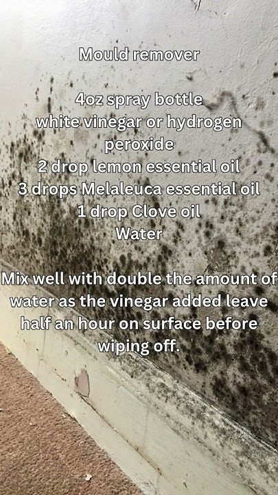 Remove Mould #homemadecleaningproducts #stainremover  #householdcleaningproducts#nontoxiccleaning Diy Mold Cleaner, Clean Mold Off Walls, Clean Mold In Shower Bathroom, How To Get Rid Of Mold In Bathroom, Mold Remover Bathroom, Mold On Clothes, Diy Mould Removal, Bathroom Mold, Remove Black Mold