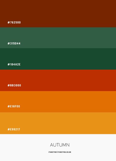 Cny Color Palette, Peruvian Color Palette, Leaf Color Palette, Autumn Pallet, Autmn Colors, Fall Colour Palette, Autumn Color Scheme, Autumn Colour Palette, Palette Autumn