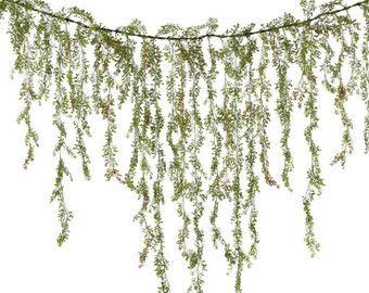 Hanging Eucalyptus Backdrop, Hanging Branch Installation, Hanging Greenery Installation Wedding, Hanging Wedding Floral Installations, Wedding Isles, Gazebo Wedding, Green Garland, Bouquet Toss, Greenery Garland