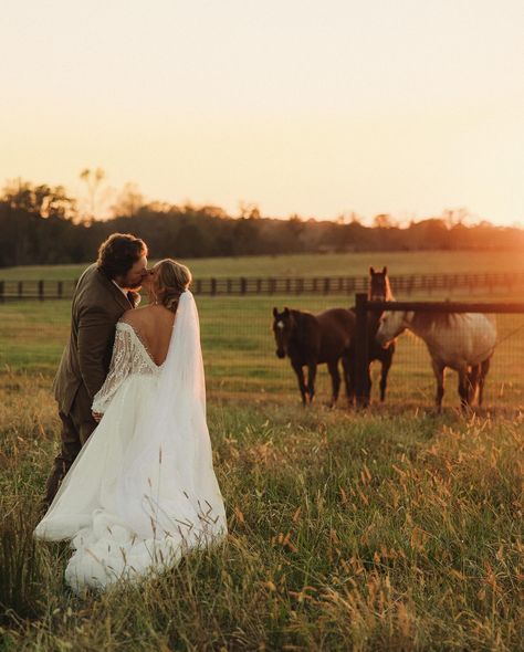 Talk about a golden hour dream! I’ll never get over these sunset shots with the gorgeous horses in the background! ☀️ 2nd for @megankuhnphotography Horse In Wedding, Weddings With Horses, Wedding With Horses, Wedding Photos With Horses, Horse Wedding Ideas, Wedding Horse, Equestrian Wedding, Pictures With Horses, Outdoor Fairy Lights