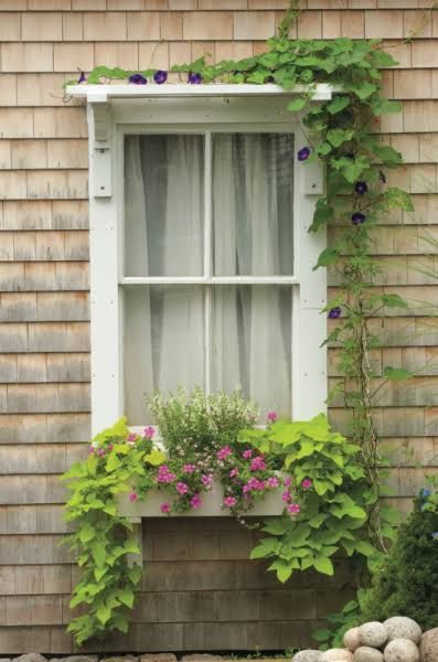 Window Flower Boxes, Window Pergolas, Window Trellises, Cottage Shutters, Eco Friendly Environment, Boxes Design, Wall Trellis, Interior Window, Window Box Flowers