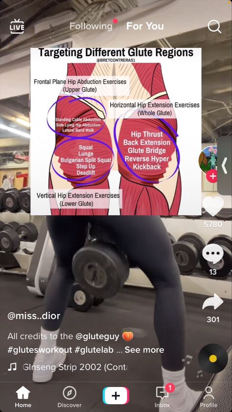 Glutes Isolation Workout, Isolation Exercises For Glutes, Home Hip Thrusts, Glute Diagram, Glute Isolation Workout At Home, Build A Shelf Glutes, Bret Contreras Glutes Workout, Bret Contreras Glutes, Glute Isolation Exercises