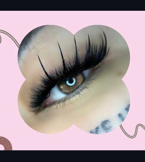 #Belleza Lashes