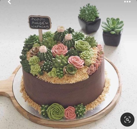 Two Tier Succulent Cake, House Warming Desserts, Cake Plant Design, Terrarium Birthday Party, Cake Terrarium, Plant Cake Design, Plant Cakes Ideas, Terrarium Cake, Earth Day Cake