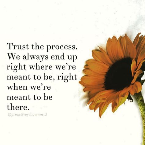 Life Is Meant To Be Lived Quote, You Will End Up Where You Need To Be, What’s Meant To Be Will Always Find A Way Quotes, Quotes About Meant To Be, Life Is Meant To Be Enjoyed, What Is Meant To Be Will Be, Not Meant To Be Quotes, What’s Meant To Be Will Be, If Its Meant To Be Quotes