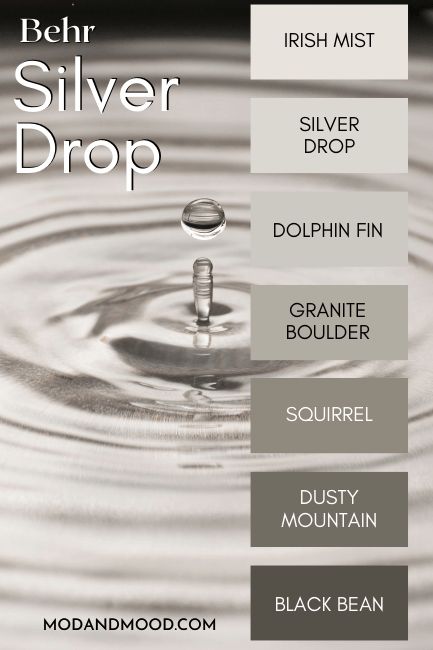 Behr Silver Drop Will Keep You Guessing! (Complete Review & Dupes) - Mod & Mood Silver Drop Paint, Silver Drop Behr Paint, Behr Irish Mist, Behr Dolphin Fin, Behr Silver Drop, Sherwin Williams Urbane Bronze, Living Room Color Palette, Room Color Palette, Dolphin Fin