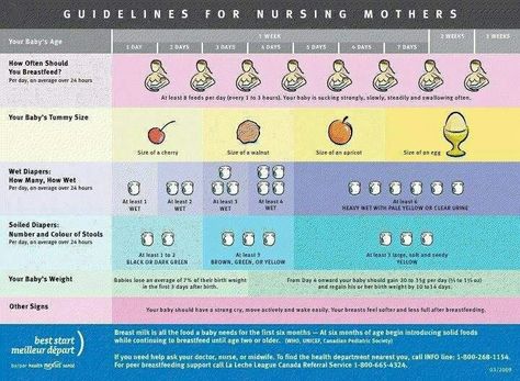 Good chart to demonstrate newborn baby's belly size and wet diapers. Prenatal Classes, Getting Ready For Baby, Nursing Mother, Breastfeeding And Pumping, Breast Feeding, Nursing Mom, Breastfeeding Tips, After Baby, Newborn Care