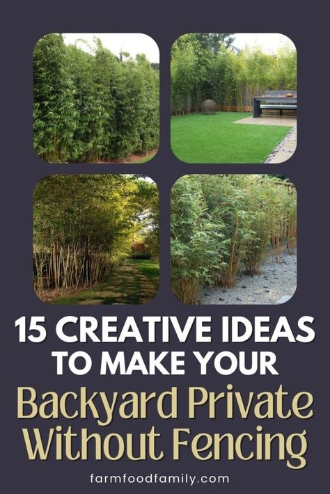 How to Create Privacy in Your Backyard Without a Fence (30 Creative Ideas) 71 Privacy Without A Fence, Natural Fence Ideas, Natural Privacy Fences, Fences Alternative, Yard Privacy, Diy Backyard Fence, Fast Growing Hedge, Diy Privacy Fence, Diy Backyard Patio