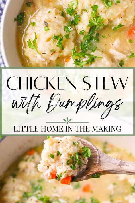 If you're looking for a comfort food classic, you can't go wrong with Dutch Oven Chicken and Dumplings. This scrumptious recipe uses a whole chicken to create a savory and flavorful stew, then adds fluffy and delicious dumplings to complete the dish. Best of all, this dish is easy to make and can be cooked in one pot on the stovetop or in a Dutch Oven. So gather your ingredients and get ready to enjoy this delicious meal! Whole Chicken And Dumplings, Dutch Oven Chicken And Dumplings, Oven Chicken And Dumplings, Chicken Stew With Dumplings, Chicken Stew And Dumplings, Stew With Dumplings, Dutch Oven Chicken, Chicken And Dumplings Recipe, Cup Of Soup