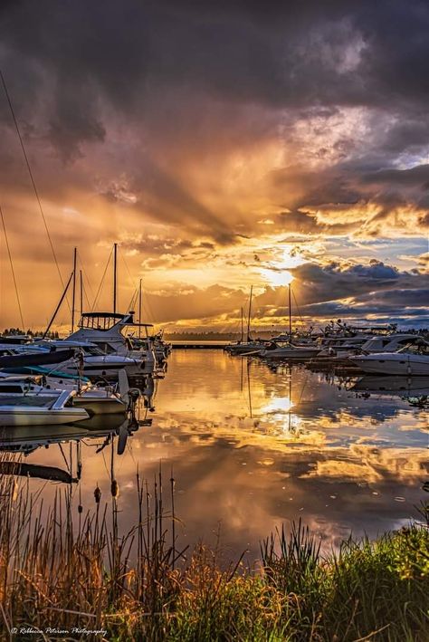 At Carillon Point, by Kirkland with the sun shining through the raindrops. Rebecca Peterson Country Morning, Evergreen State, Sun Shining, Morning Sunrise, Amazing Sunsets, Changing Seasons, Nantucket, Rhode Island, New Hampshire