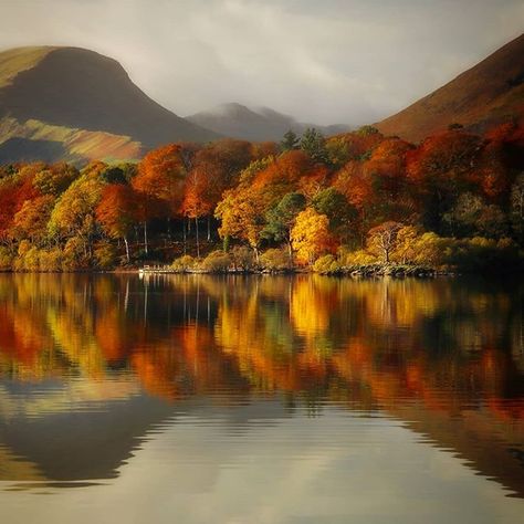 Instagram'da 〰Wolfypic〰: “Autumn at Derwent Water . .Some lovely colours still about around the Lake District. Lets hope they hang on for a little while…” Derwent Water, Instagram Autumn, S Photo, The Lake District, Hang On, Cumbria, Lake District, Lovely Colors, Lake