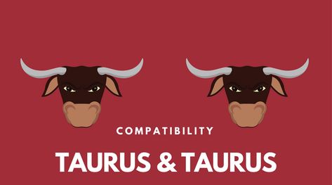 Taurus and Taurus Compatibility, Love, Bed Taurus And Taurus Compatibility, Taurus And Taurus, Importance Of Honesty, Taurus Compatibility, L Quotes, Store Design Boutique, Taurus Woman, Making The First Move, Taurus Man