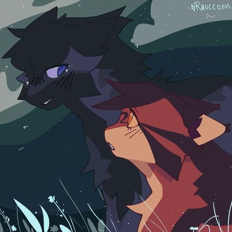 Warrior Cats