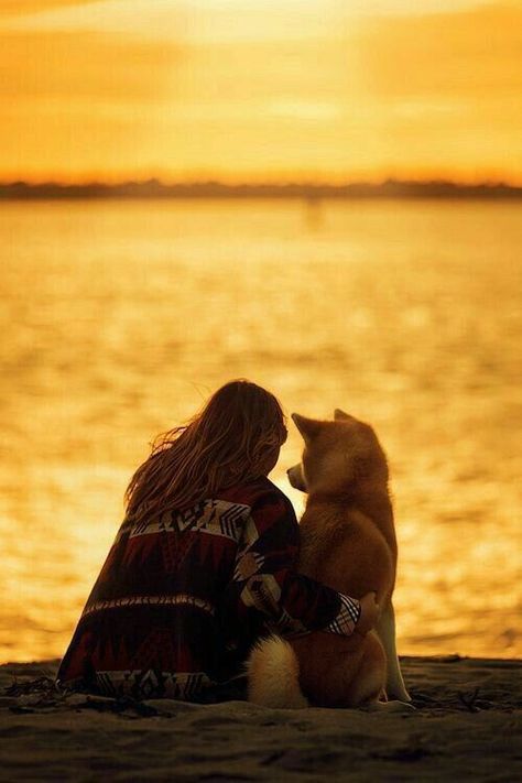 The Ocean, A Dog, A Woman