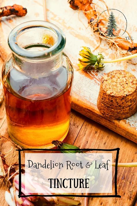 Dandelion Tincture Recipes, Sage Tincture, Lemongrass Tincture Recipe, Green Dragon Tincture Recipe, Diy Tinctures, Dandelion Tincture Benefits, Toothache Plant Tincture, Dandelion Root Tincture, Dandelion Tincture