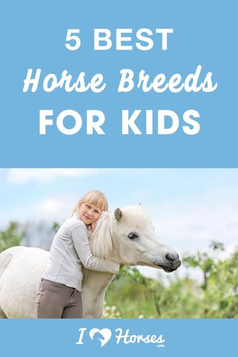 For many of us, our love of horses fosters from a very young age. There are certain horse breeds that make an ideal choice for young equine enthusiasts. We’ve gathered a list of the 5 best horse breeds for kids, so keep these recommendations in mind for the young horse lover in your life. | #ihearthorses #ponies #horsesforkids #equine #eqlife Horse Crafts Kids, Best Horse Breeds, All Horse Breeds, Horse Ownership, Different Horse Breeds, Horseback Riding Tips, Horse Lessons, Riding Tips, Pony Breeds