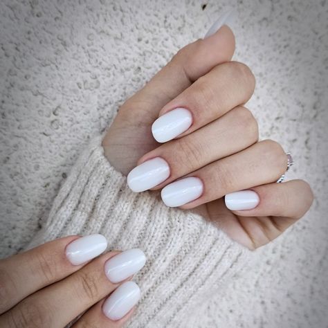 New #nailswhite #nailssimple #nailsbucuresti #nailsbeauty White Nails, Nails, Beauty