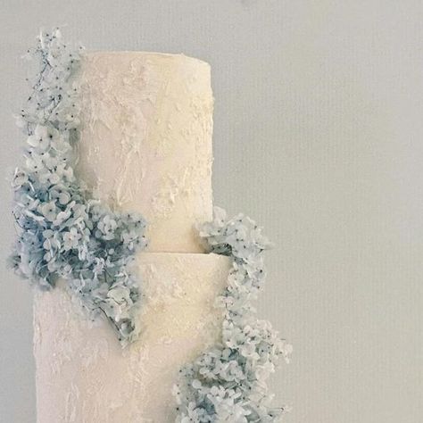 Michelle Portelli Cakes   CAKE ARTIST on Instagram: "ERIC | APRIL 💍🤍

Soft textures and hydrangeas 
Congratulations on your engagement!
.
.
.
.
.
.
 
#cakeinsydney #weddingcake
#sydneyweddings #engagementcake
#sydneyweddingcakes 
#contemporarycakes  #moderncake
#michelleportellicakes" Wedding Cake Hydrangea, Hydrangea Cake, Congratulations On Your Engagement, Cake Artist, Modern Cakes, Blue Hydrangeas, Engagement Cakes, White Wedding Cake, Elegant Wedding Cakes