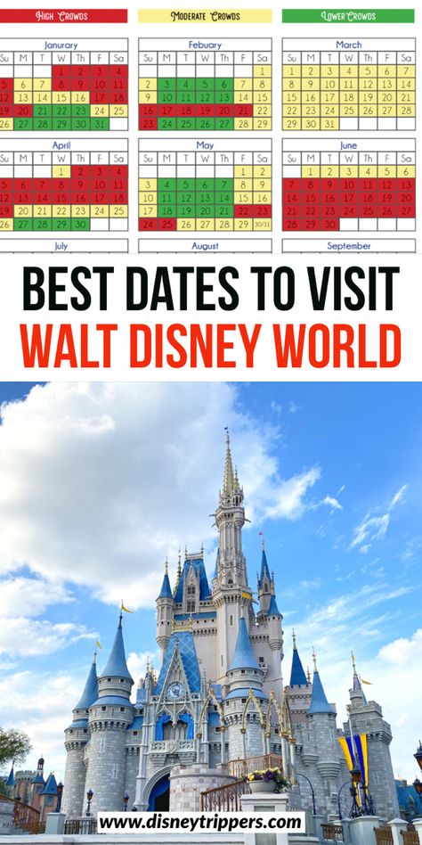 Best dates to visit walt disney world | disney world crowd calender | how to find the best time to visit disney | how to avoid crowds at disney | disney travel tips | when to visit disney for the least crowds | crowd calendar for disney world #disney #disneyworld Epcot Planning, Disney Crowd Calendar, Disney World Crowd Calendar, Disney Vacation Planning, Usa Cities, Disney World Florida, Disney Travel, Disney World Planning, Disney Planning