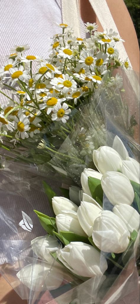 #tulips #daisies #daisy #traderjoes #farmersmarket #sundaymarket #easternmarket #dc #freshflowers #flowersatthemarket Tulips And Daisy Bouquet, Daisy And Tulips, Tulips And Daisies, Fav Flower, Daisy Bouquet, Coffee Shop Aesthetic, Shop Aesthetic, White Pictures, Book Flowers