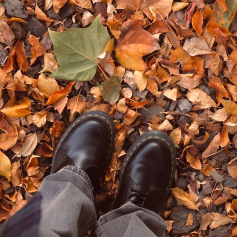 autumn vibe | fall aesthetic | fallen leaves | doc martens Grunge Fall Aesthetic, Beat Aesthetic, Fall Astethic, Doc Martens Aesthetic, Doc Martens Outfit, Fallen Leaves, Aesthetic Fall, Fit Ideas, Fall Aesthetic