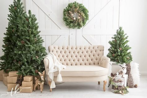 Indoor Christmas Photos, Christmas Mini Sessions Outdoor, Winter Wonderland Home Decor, Wonderland Home Decor, Outdoor Christmas Photos, Christmas Mini Shoot, Christmas Winter Wonderland, Church Christmas Decorations, Photo Backdrop Christmas