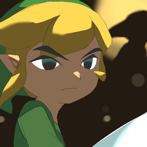 Link Wind Waker, Windwaker Link, Link Pfp, Toon Link, The Wind Waker, Shigeru Miyamoto, Wind Waker, Zelda Art, Soul Mate