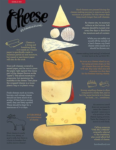 Did you know these facts about cheese? Greta Catchlove, Cheese Wax, National Cheese Lovers Day, Cheese Making Process, Cheese Store, Avocado Recipe, Parade Ideas, Diy Cheese, Food Package