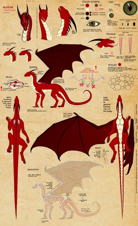 It Decorations, Dragon Anatomy, Types Of Dragons, Jupiter Moons, Dragon Sketch, Silky Skin, Fantasy Creatures Art, Dragon Artwork, Concept Art Drawing