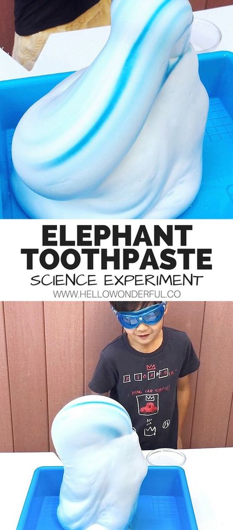 Science Experiments Kids Elementary, Elephant Toothpaste, Science Camp, Summer Science, Science Experiments For Preschoolers, Science Club, Science Crafts, Chemistry Experiments, Kids Watch