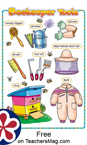 BEEKEEPER TOOLS  This poster illustrates all the tools used by beekeepers. Preschool Bees, Bees For Kids, College Posters, Insect Study, Different Bees, College Poster, Bee Activities, Community Helpers Theme, Teacher Board