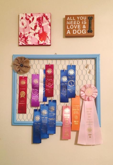 How To Display 4h Ribbons, 4h Ribbon Display Ideas, 4-h Ribbon Display Ideas, Horse Ribbon Display Ideas Wall Hangings, Horse Riding Ribbons Display, Display Horse Show Ribbons, Shadow Box Horse Show Ribbons, Horse Ribbon Display, Show Ribbon Display