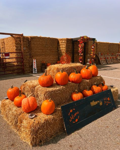 Pumpkin patch adventure 🚜🎃 It’s fall y’all🍁 #pumpkinpatch #autumn #fallstyle #pumpkinseason Pumpkin Seasoning, Pumpkin Patch, Autumn Fashion, Quick Saves