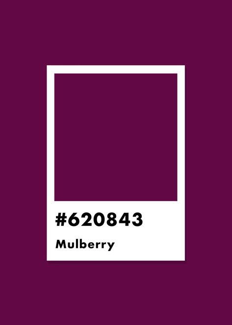 Boysen Berry Color, Mulberry Aesthetic Color, Mulberry Colour Palette, Mulberry Color Aesthetic, Mulberry Paint Color, Berry Color Aesthetic, Mulberry Color Palette, Mulberry Aesthetic, Mulberry Outfit