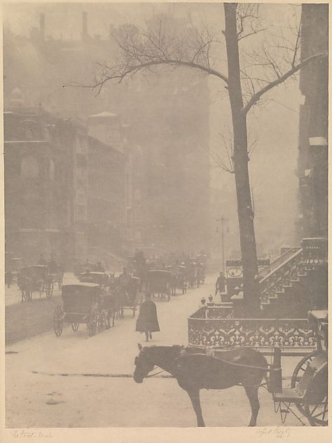 The Street, Fifth Avenue by Alfred Stieglitz Nyc History, Edward Weston, Alfred Stieglitz, Old Photography, Richard Avedon, Gilded Age, New York Art, Ansel Adams, Street Design