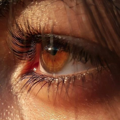 Pretty Eyes Color, Brown Eyes Aesthetic, The Long Game, Pretty Brown Eyes, Photos Of Eyes, Eye Photography, Aesthetic Eyes, Fantasy Aesthetic, Realistic Drawings