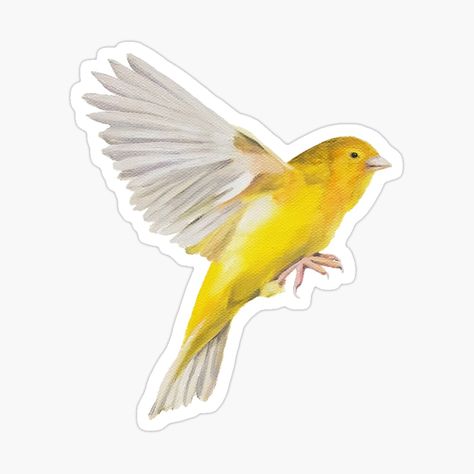 You probably need a canary sticker. From original oil painting by Canadian artist Emily Bickell Canary Birds, Canadian Artists, In Flight, Cool Stickers, Tiny Tattoos, Personalities, Amazing Nature, Original Oil Painting, Original Oil