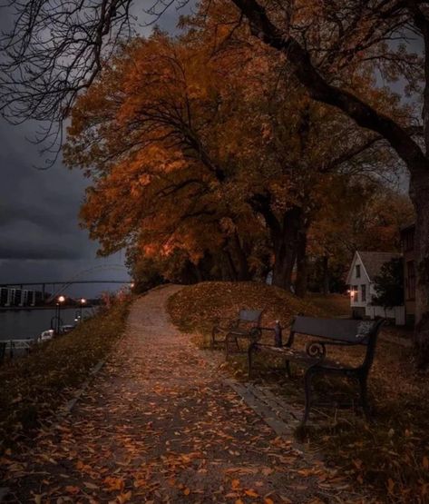 Lucien Vanserra, Park Benches, Court Of Thorns And Roses, Dark Autumn, Pretty Landscapes, Fall Inspo, Autumn Scenery, Season Of The Witch, Fall Feels