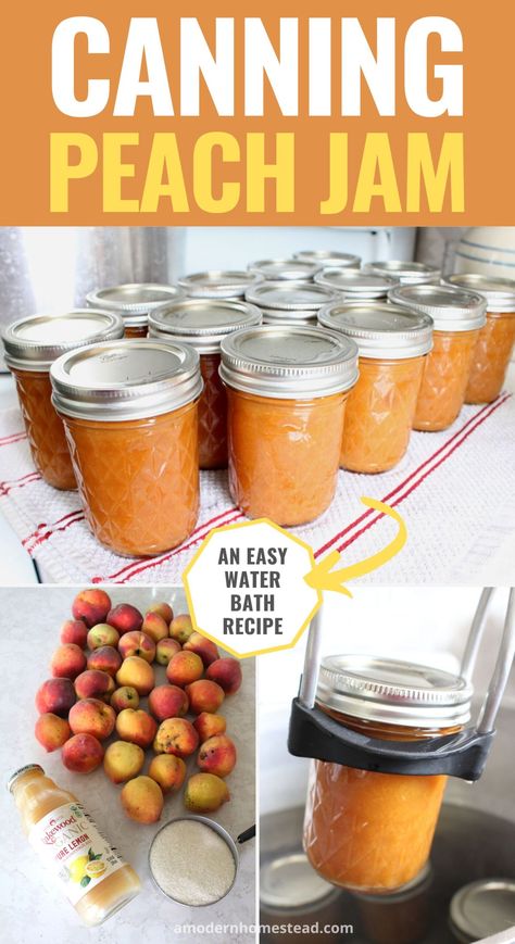 Large Batch Peach Jam, Canning Peach Jam No Pectin, Canning Peaches Recipes Pie Fillings, Pectin Free Peach Jam, How To Make Peach Jam Step By Step, Canning Peaches Without Sugar, Best Peach Jam Recipe Canning, Fresh Peach Jam No Pectin, Peach Jam Recipe Canning No Pectin