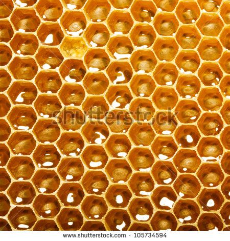 fresh honey in comb Gcse Art Sketchbook, Bee Illustration, Honeycomb Pattern, Stunning Interiors, Patterns In Nature, Canvas Home, Wrapped Canvas Art, Pattern Art, Honeycomb