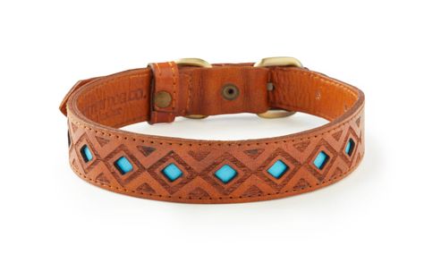 Pipeline - Hand Tooled Leather Dog Collar Tooled Leather Dog Collar, Cool Dog Collars, Supplies Aesthetic, Dog Training Tools, Aesthetic Dog, Aggressive Dog, Leather Dog Collar, Turquoise Leather, Dog Training Collar