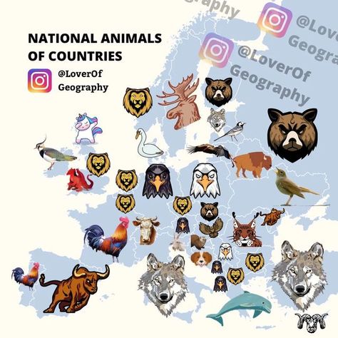 CEO of Geography we post Daily on Instagram: "This post shows the national animals of European countries. Each country was searched seperately Sharing on social media is allowed if you give visible credits NEVER EVER remove the credits on the map that's sabotage and will immediately be reported❗ If you see someone reposting our content where they removed the credits on the map immediately DM us and report that person ❗ On TikTok don't constantly only post our posts do a mix of other mappers❗ National Animals Of Countries, Avatar Korra, National Animal, European Countries, The Map, Geography, The National, Avatar, Map