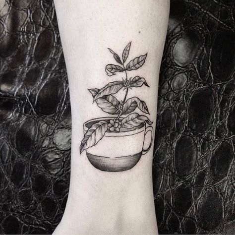 Black and grey coffee plant tattoo Plant Tattoos Black And White, Black And White Plant Tattoo, Black And Grey Plant Tattoo, Coffee Related Tattoos, Black Plant Tattoo, Plant Tattoo Shoulder, Coffee Tree Tattoo, Coffee Branch Tattoo, Plant Tatoos