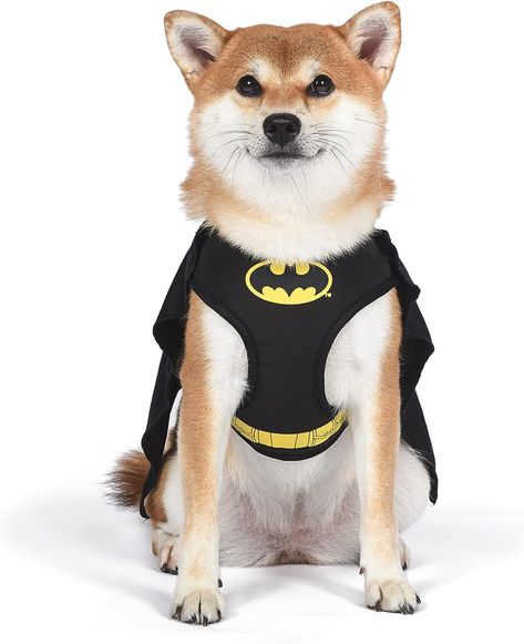 DC Comics for Pets Batman Dog Harness | Soft and Comfortable No Pull Harness for Dogs, Dog Batman Costume | Cute Small Dog Halloween Costume for Small Dogs, Batman Harness, Puppy Harness, Pet Harness #Ad Batman Dog Costume, Best Dog Halloween Costumes, Batman Dog, Cute Dog Harness, Harness For Dogs, Dog Costumes Funny, Bat Dog, Dog Halloween Costume, Cute Small Dogs